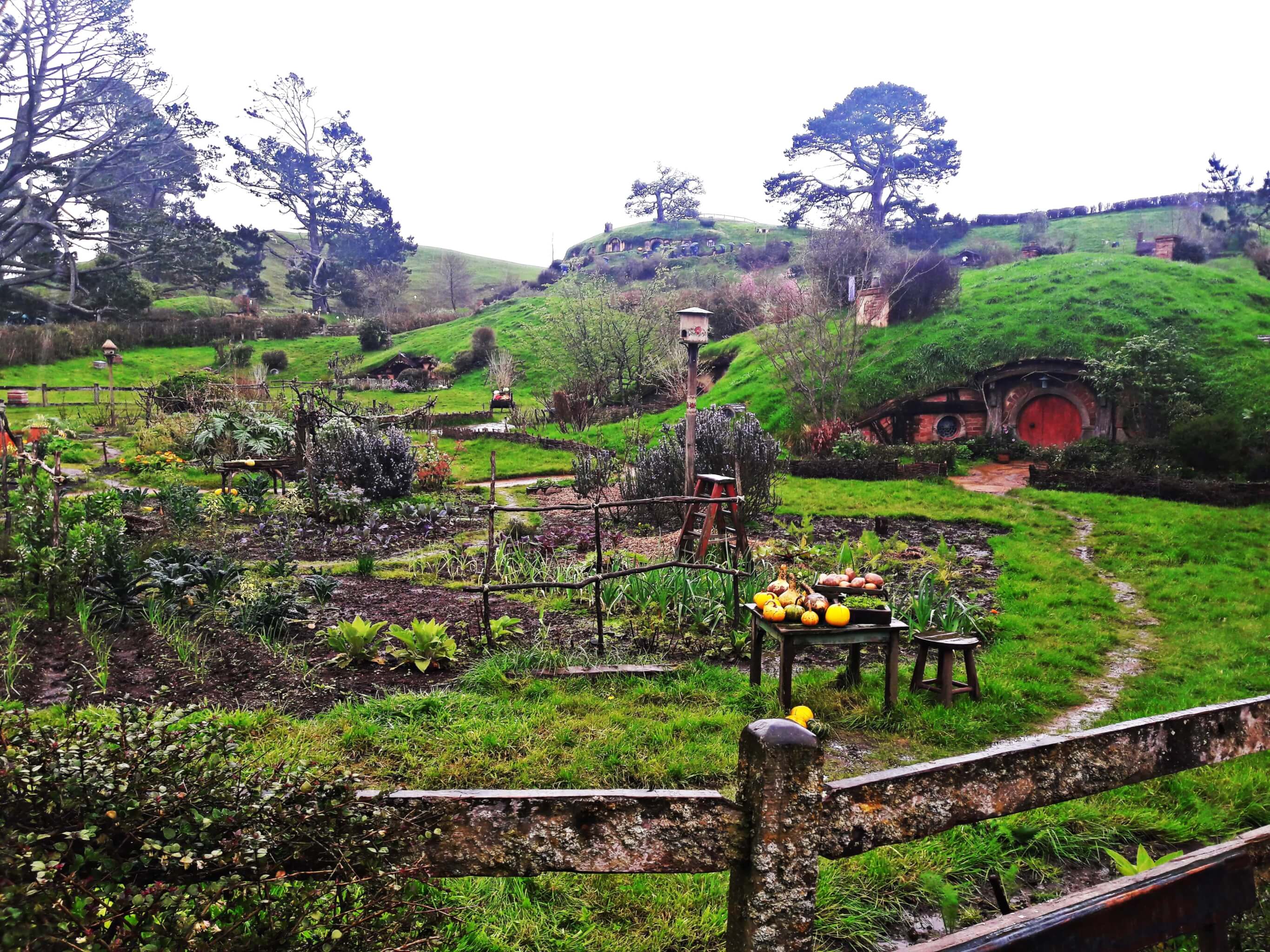 Cold, dark, gloomy and wet conditions on visiting Hobbiton
