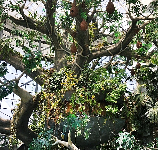 Inside the Green Planet - tropical rainforest created indoors at City Walk
