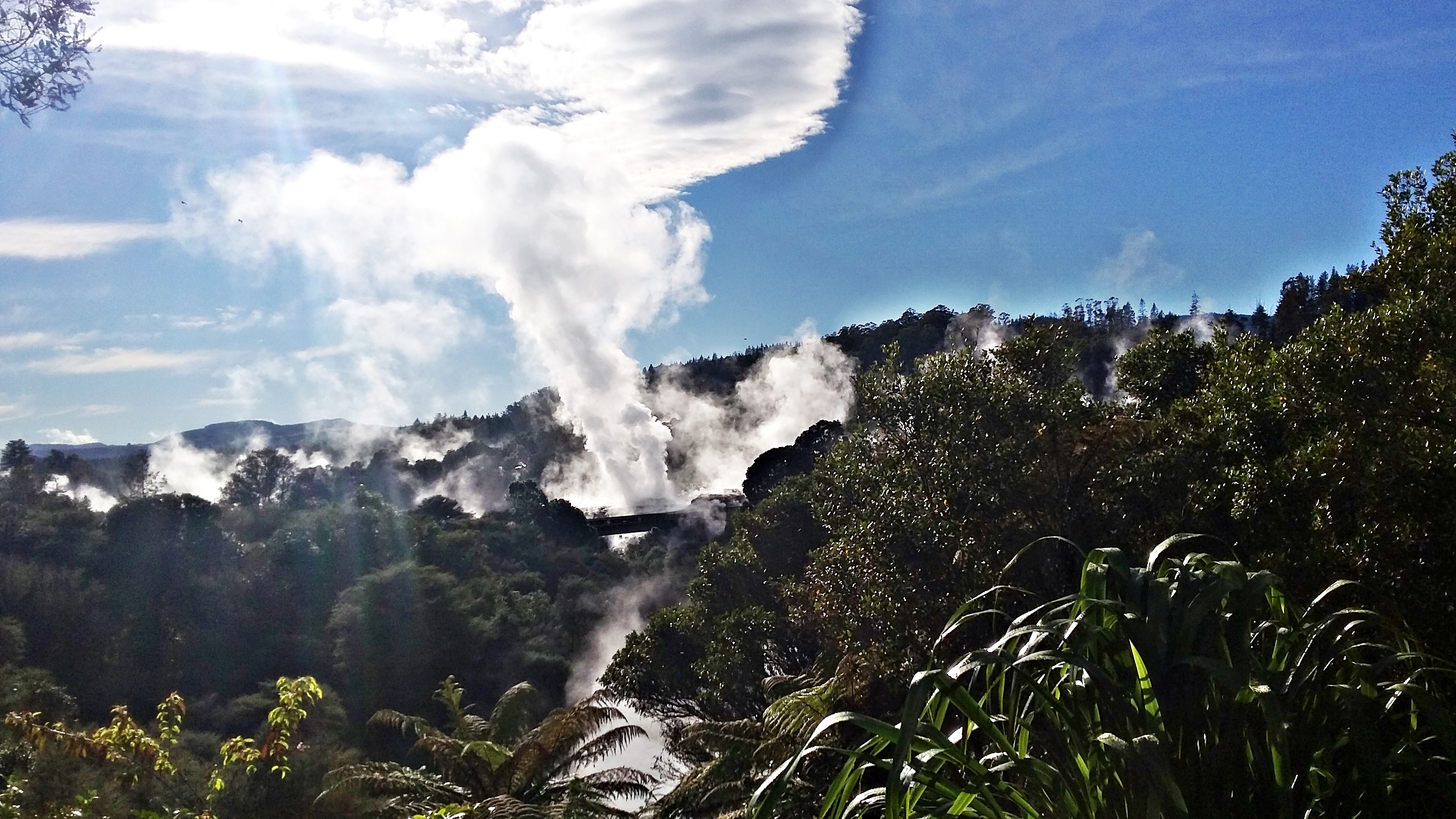 The Te Puia Pohutu Geyser erupting right in front of our eyes