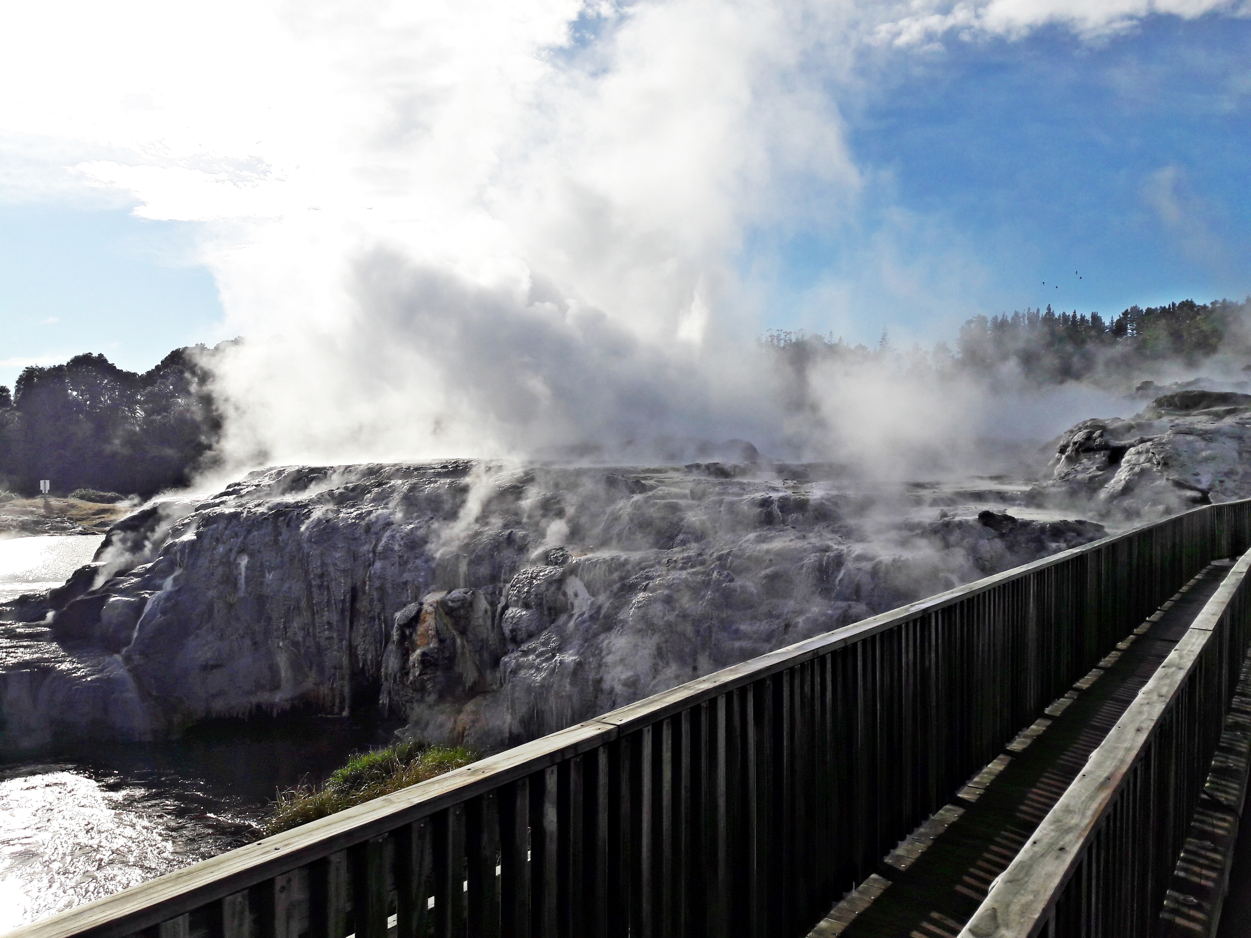 Cascading geyser at Te Puia geothermal reserve in Rotorua