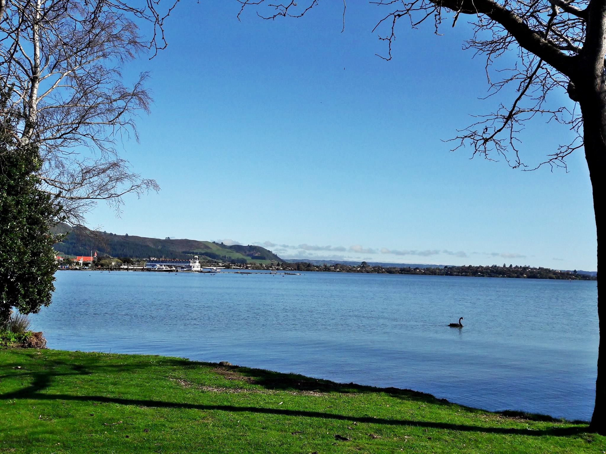 A morning view of the beautiful Rotorua lake