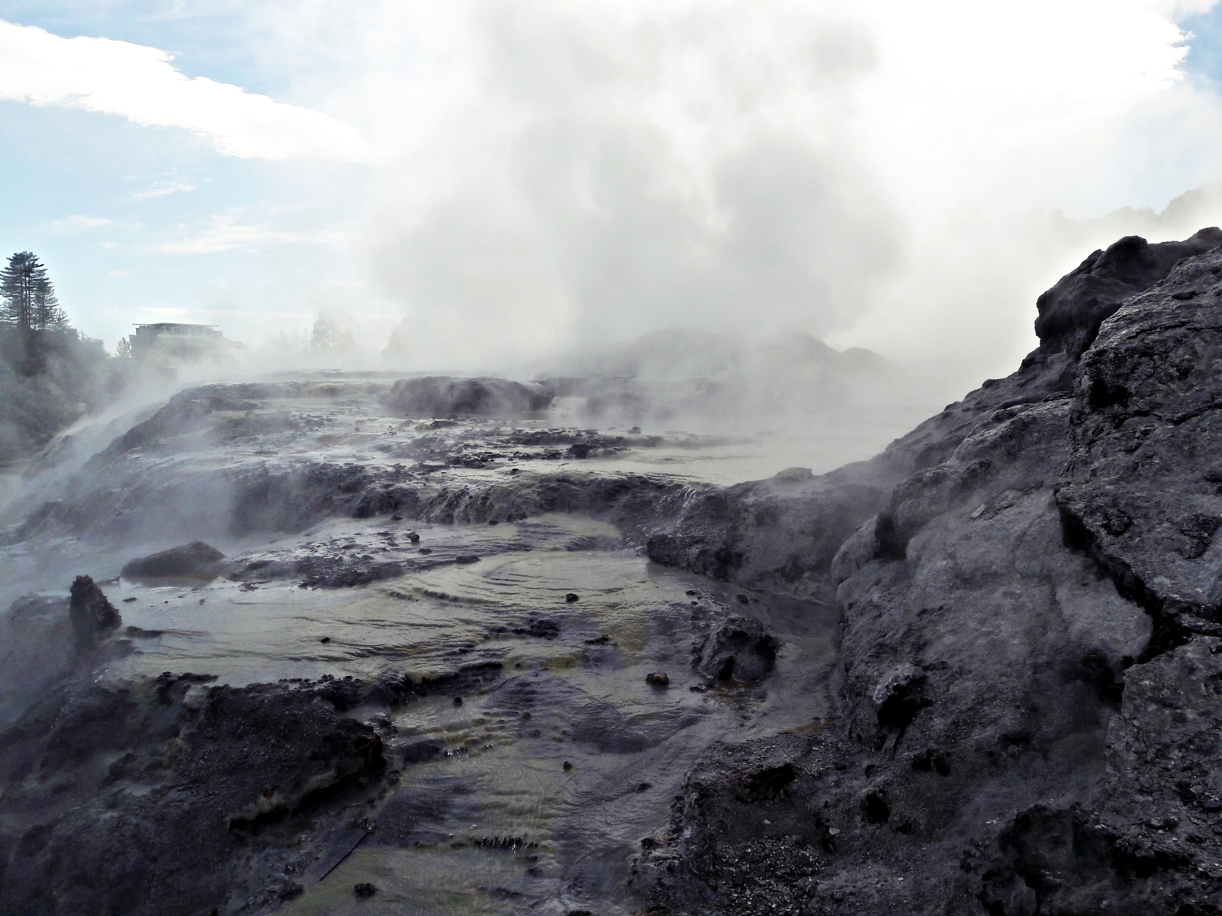 Cascading geysers of the Te Puia geothermal reserve