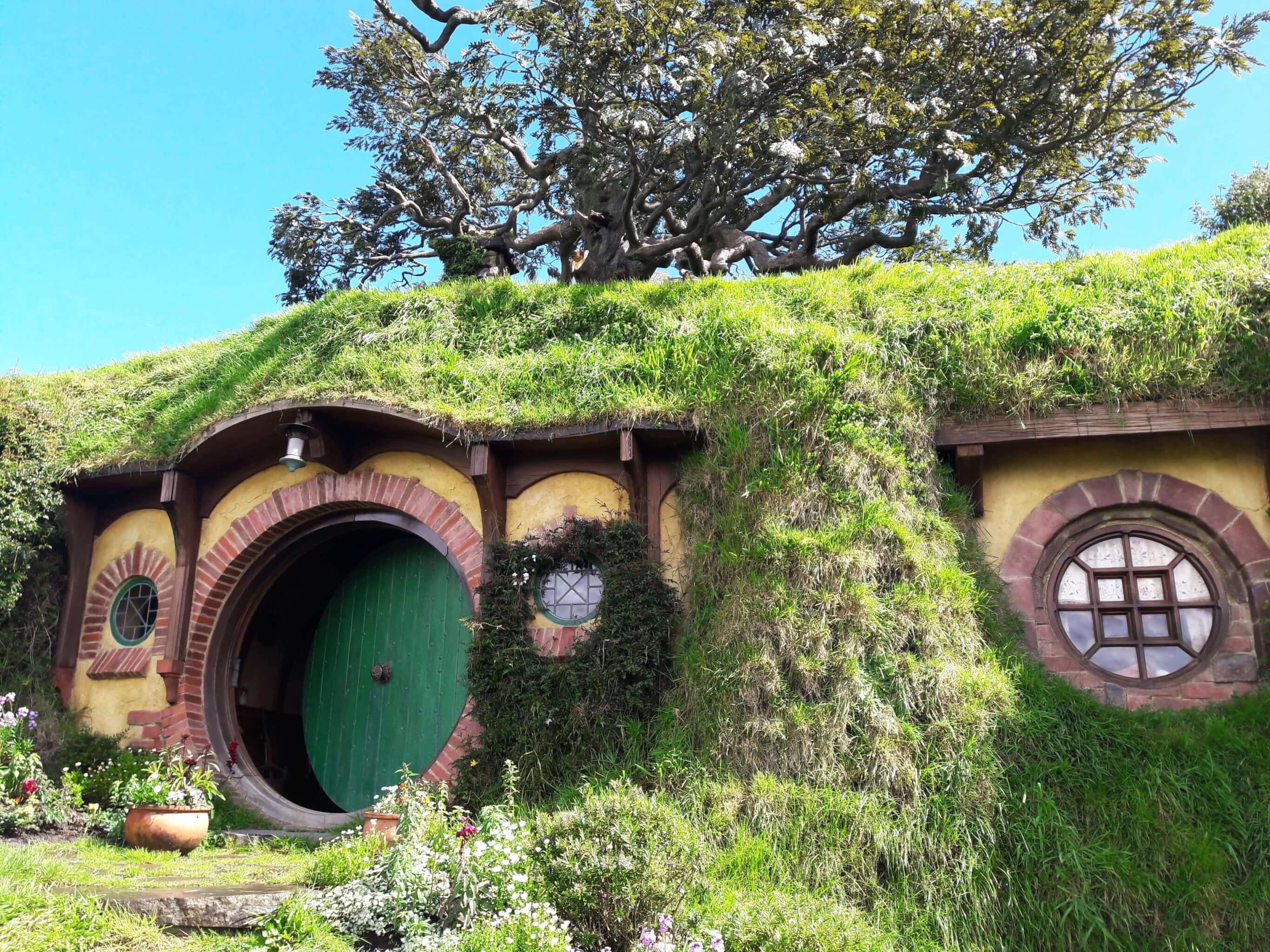 View of the cute little Hobbit Hole