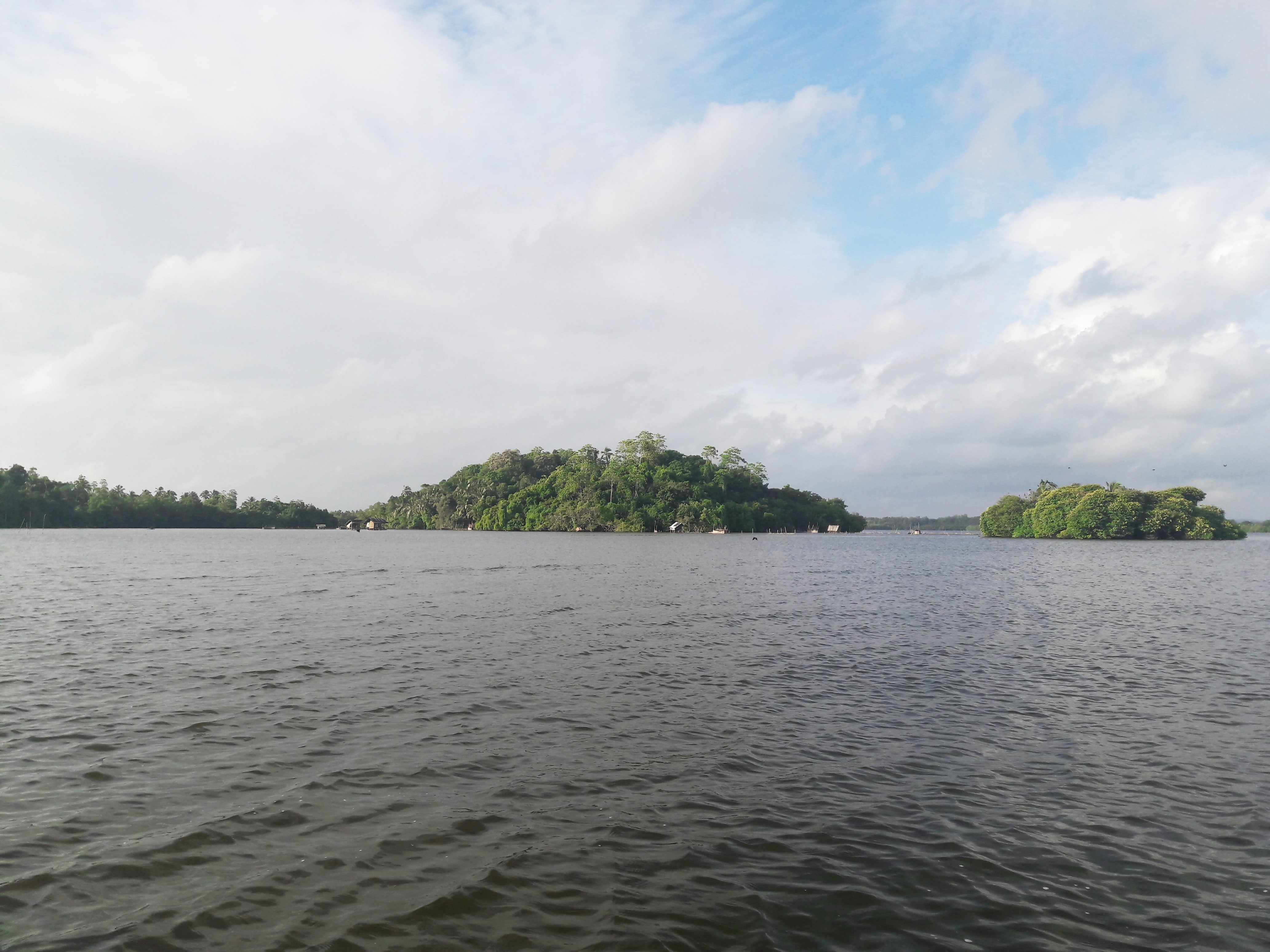 Various lagoon islands spotted in the Madu River Biodiversity Area
