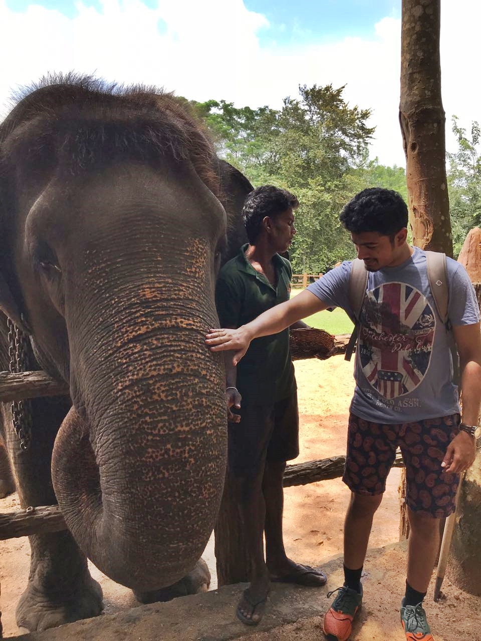 Feeding the elephants at Pinnawala Orphanage is one of the best things to do in Sri Lanka