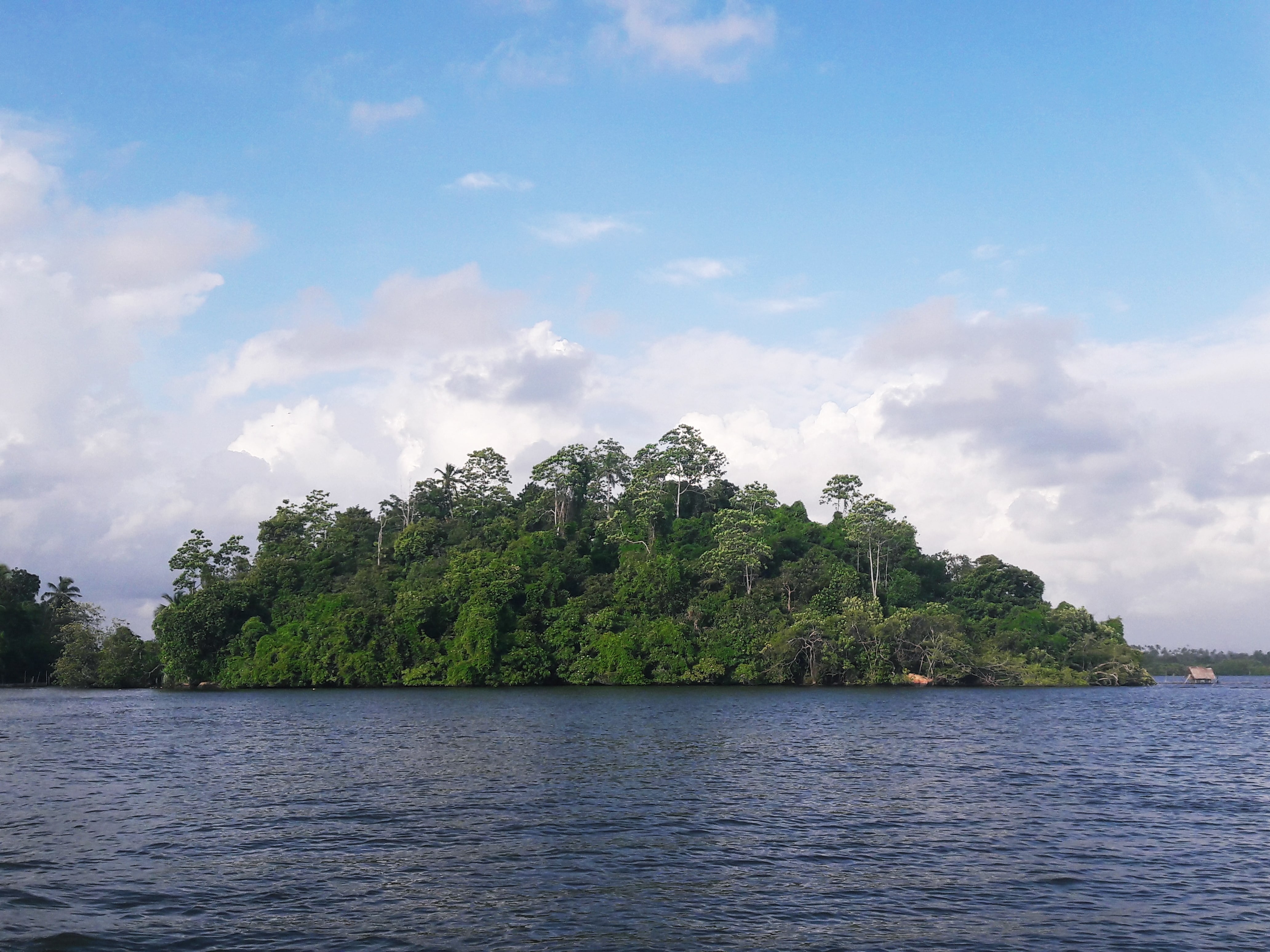 One of the many islands in the lagoon as seen during the boat ride