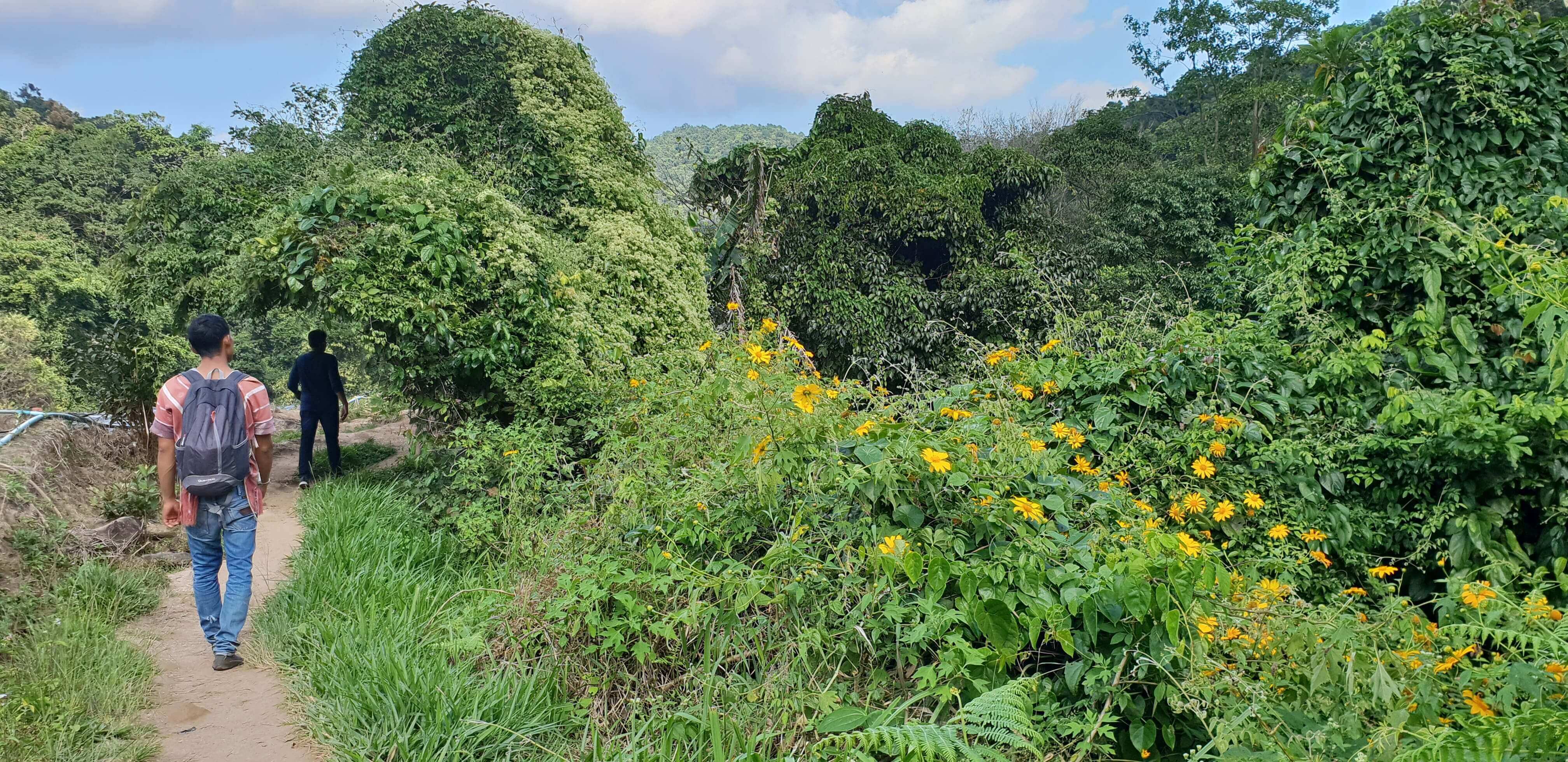 Pleasant flowery trail leading to the Mae Klang Luang village