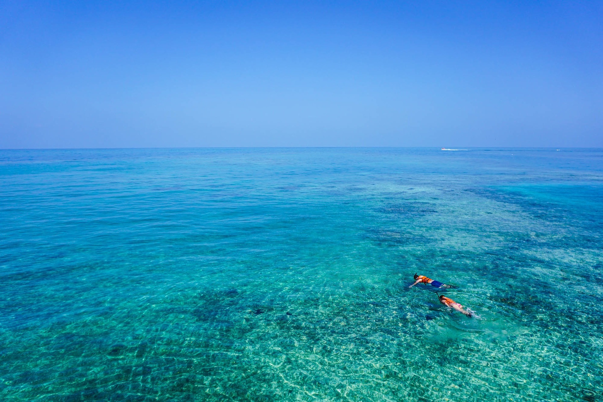 Snorkel in the crystal clear waters of Koh Lipe and explore the vibrant aquatic life