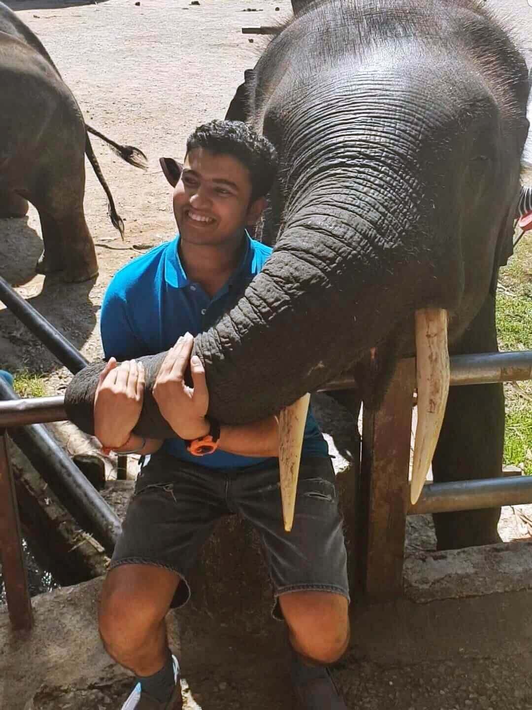 When you find your soulmate in an elephant