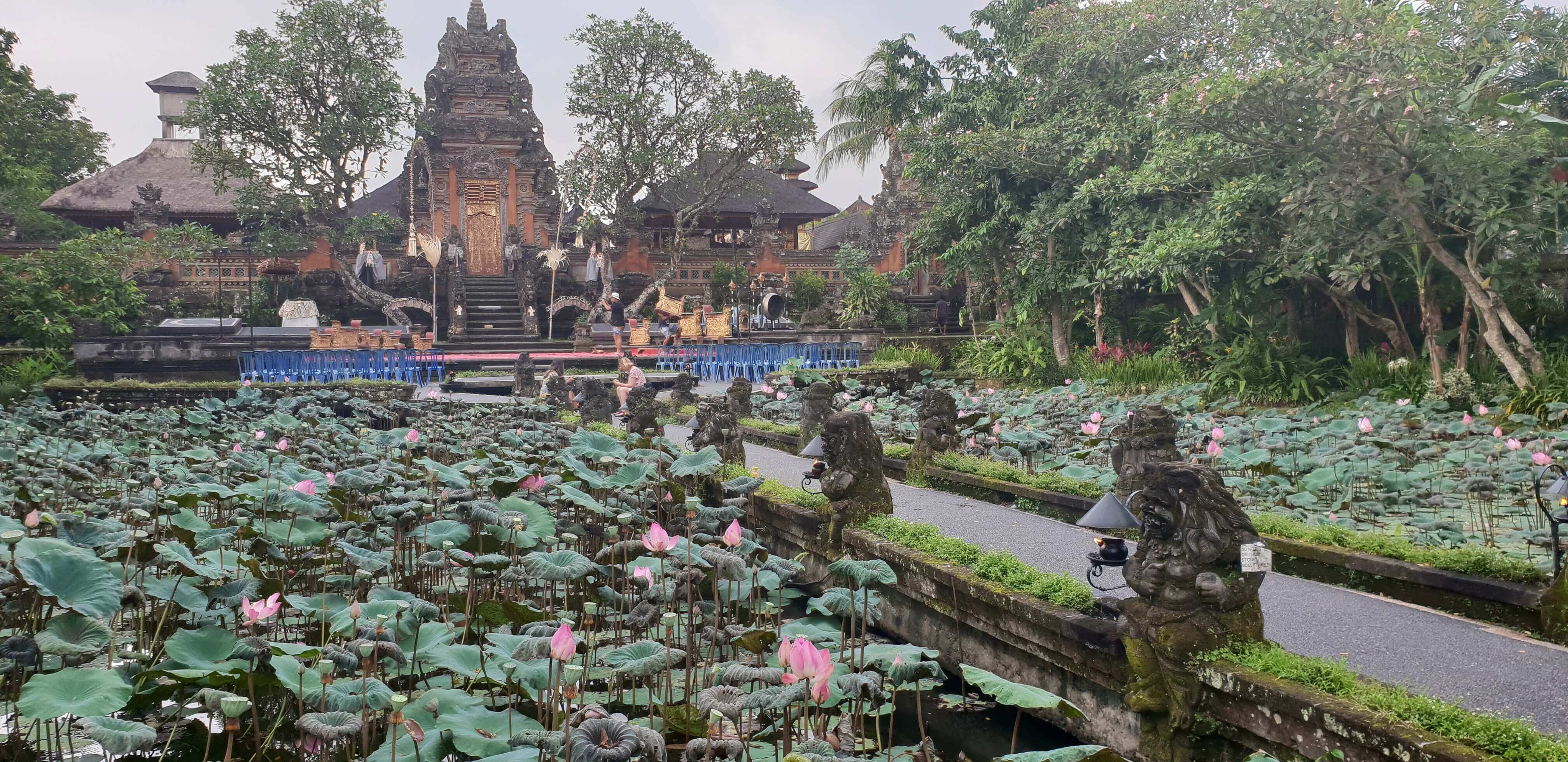 Main attraction in the temple is the stunning lotus pond on both sides of the pathway leading to the temple complex