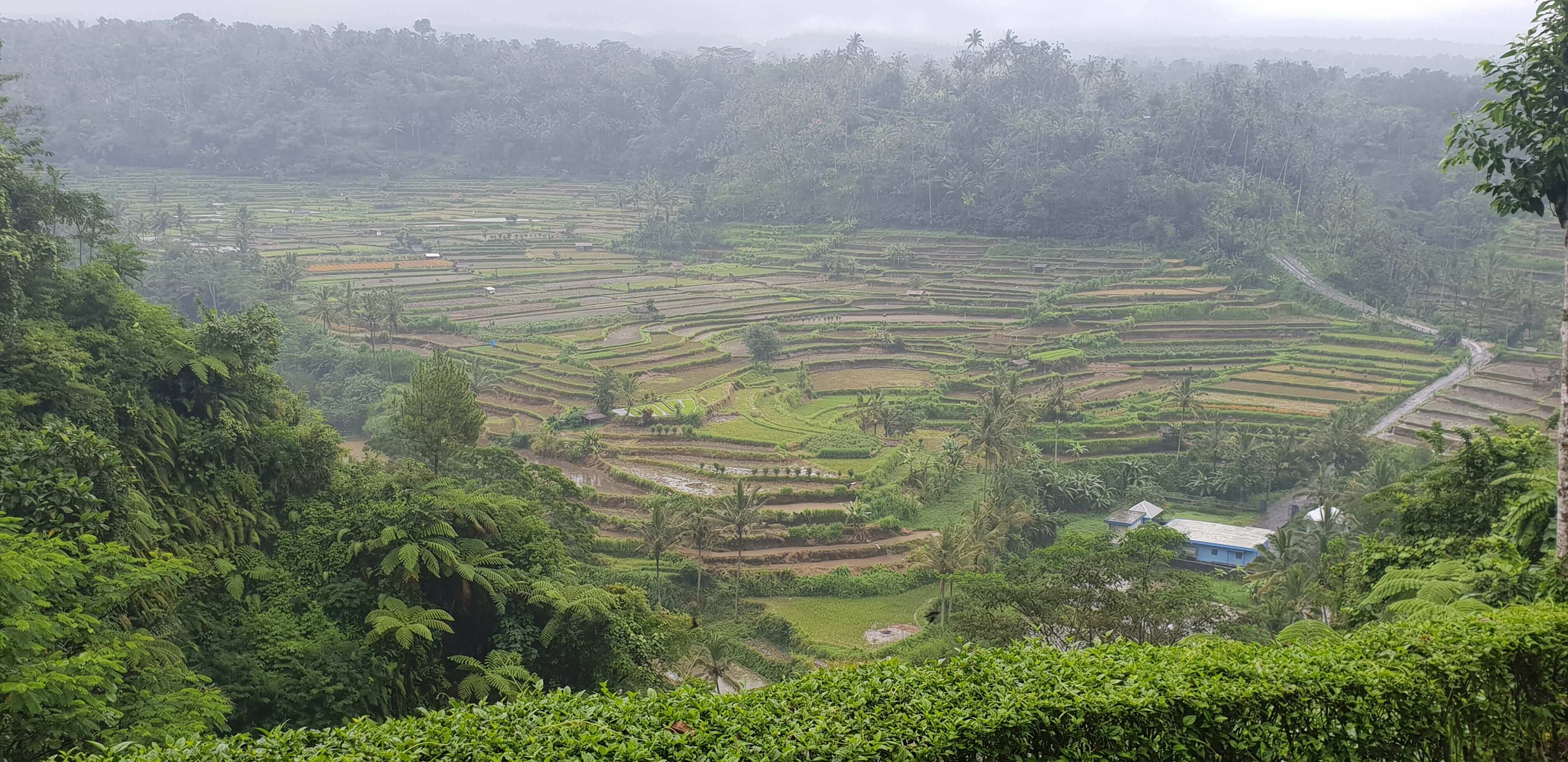 Panoramic view from the Mahagiri Resort and Restaurant, which was a surprise inclusion in our Ubud itinerary thanks to our driver Ariyana's recommendation