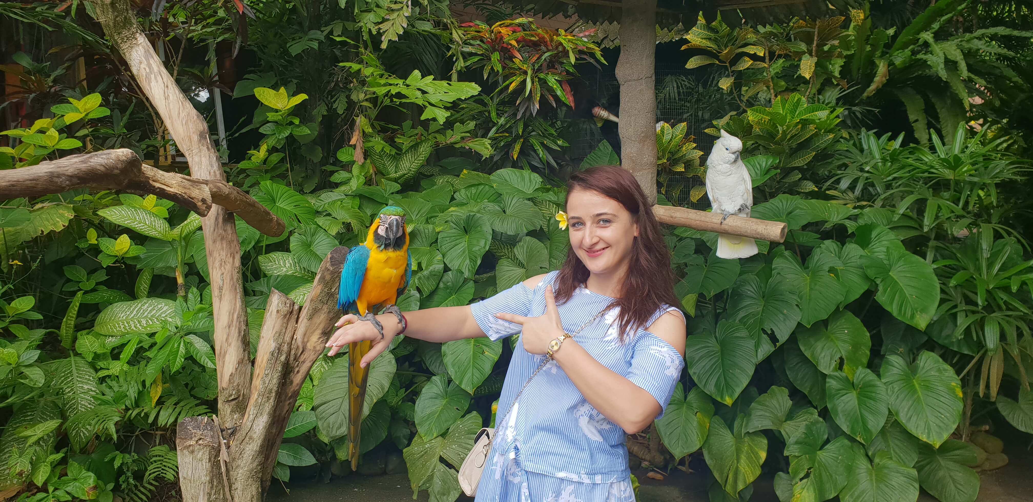 You get to click free pictures with colourful parrots inside the museum premises