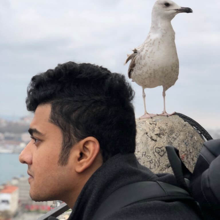 When you have the good fortune of getting photo-bombed by an albatross