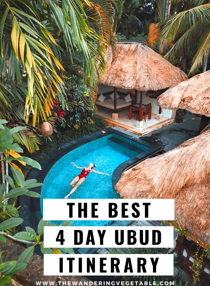 The best Ubud travel guide explaining what to do in Ubud in 4 days