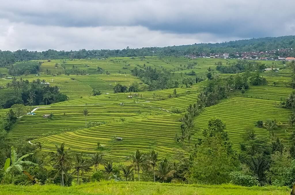 Jatiluwih Rice Terraces is one of the best Bali hidden gems for people who like scenic nature walks