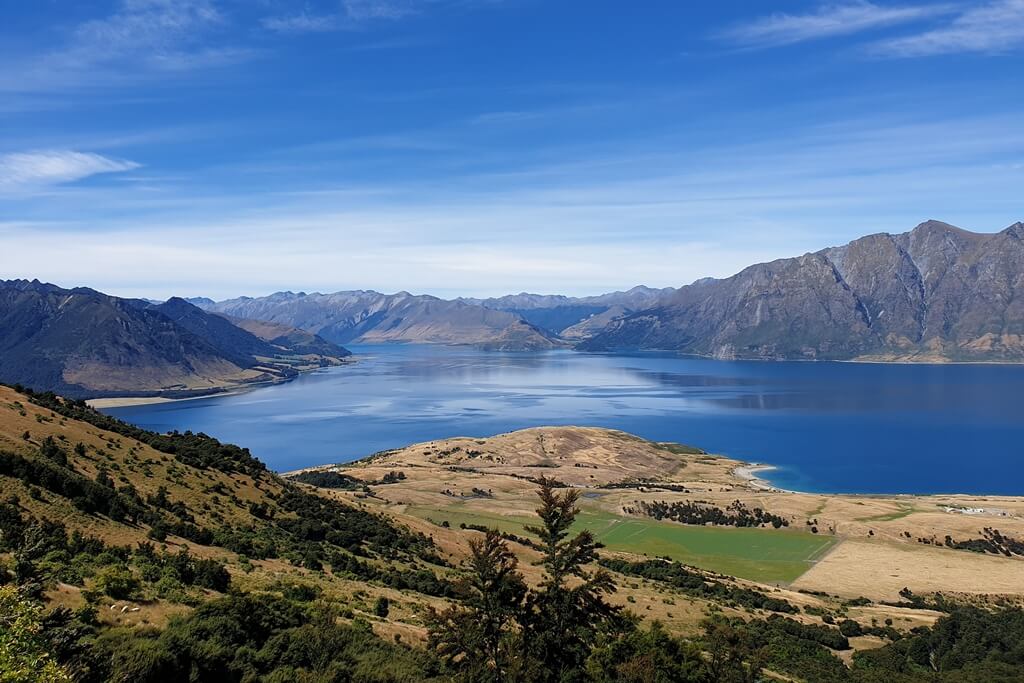 At the summit of the Isthmus Peak Hike you get to see Lake Wanaka in all it's glory