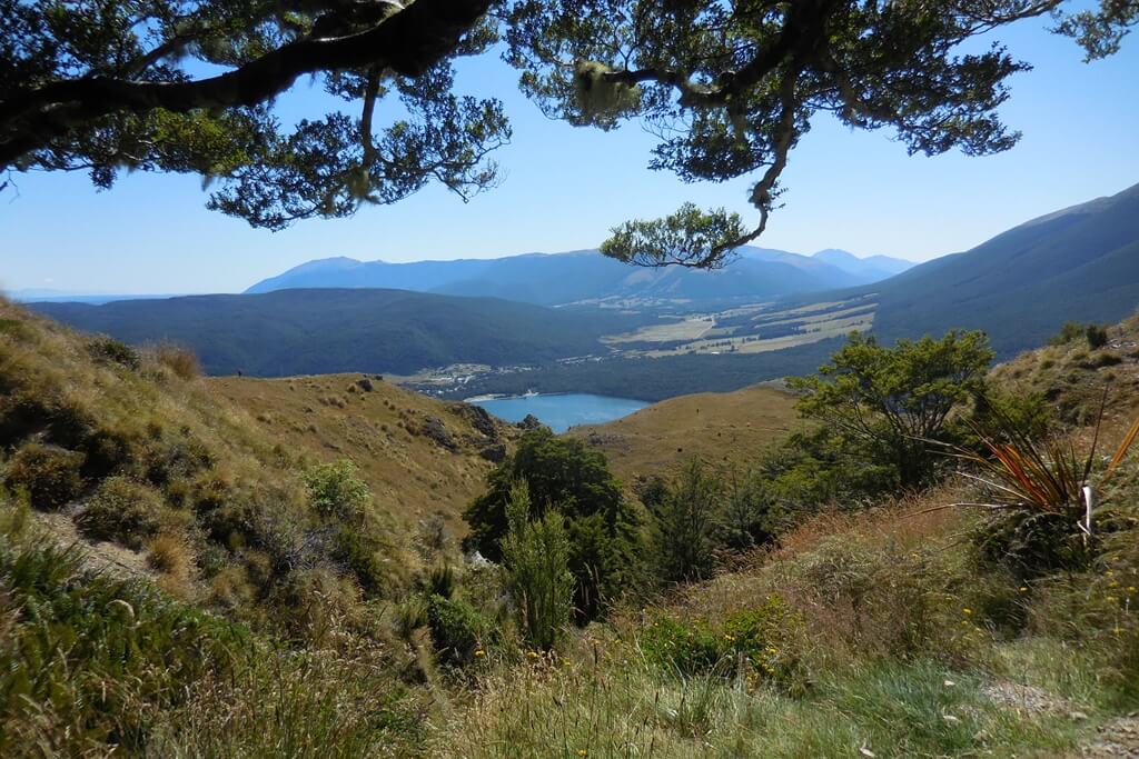 The Mount Robert Circuit Hike is one the easiest hikes to do in New Zealand South Island