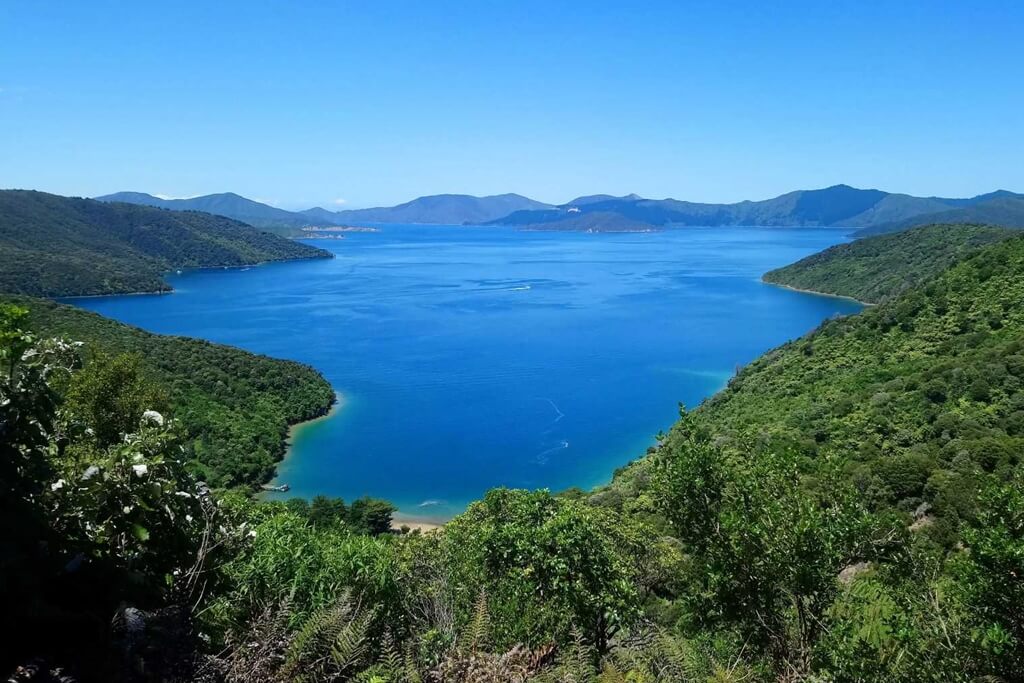 The Queen Charlotte Track in Marlborough Sounds is one of the rare multi-day hikes in New Zealand South Island