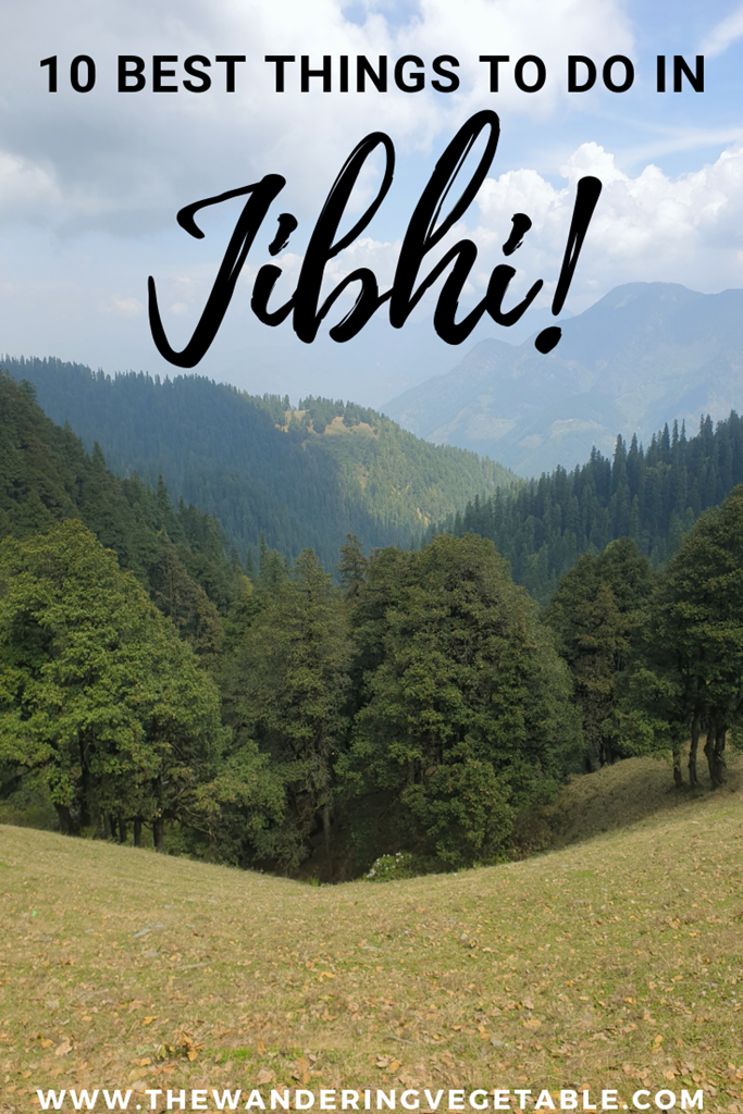 Here is a blog on the best things to do in Jibhi