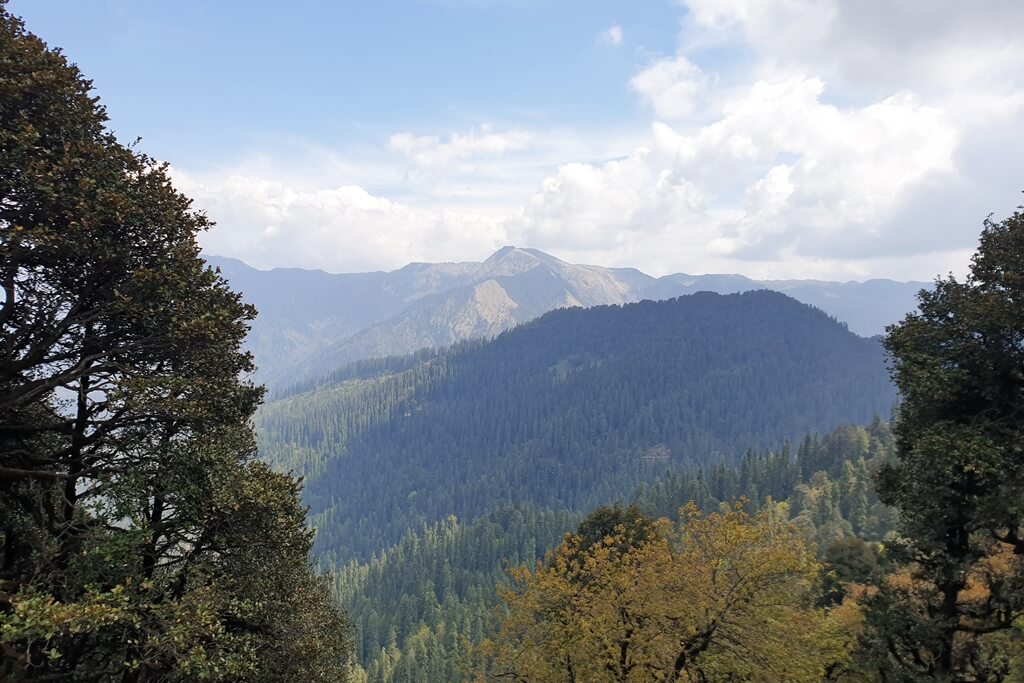 Jibhi is the ultimate mountain getaway destination in Himachal Pradesh
