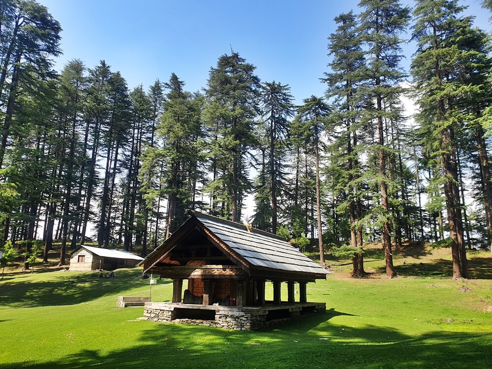 The Balu Nag temple is perched on a beautiful green mountain surrounded by the deodar forest