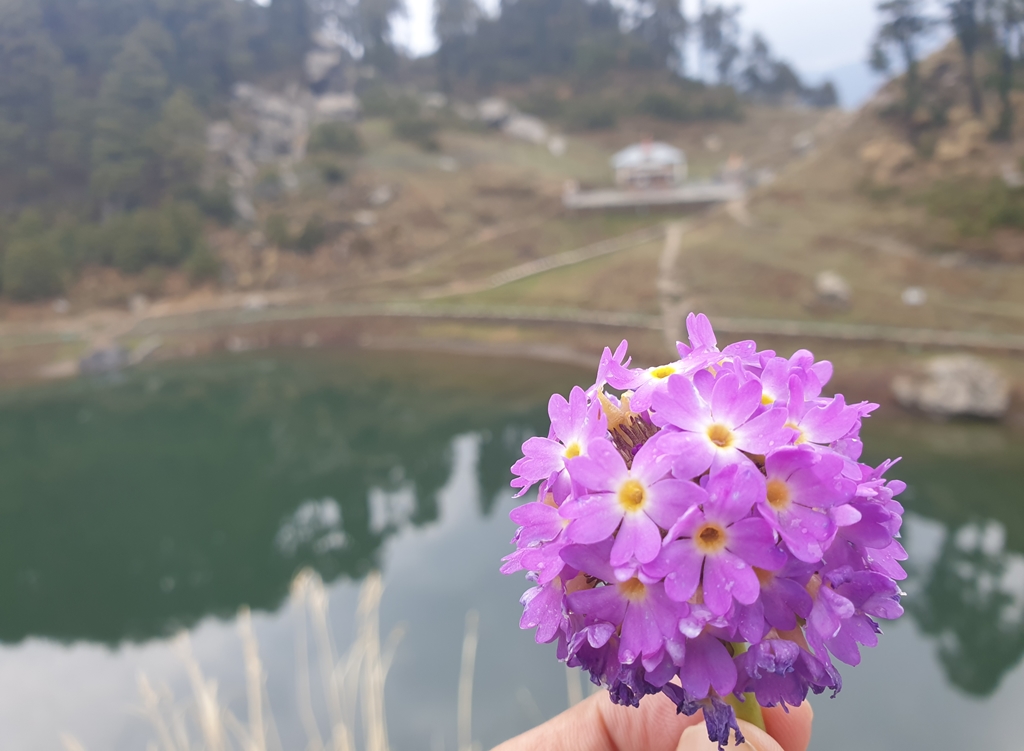 The sheer beauty of the Serolsar lake makes the hiking effort worth it
