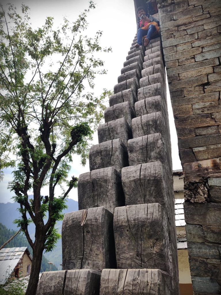 You have to climb a flight of thick wooden block steps to reach an elevated point in the temple