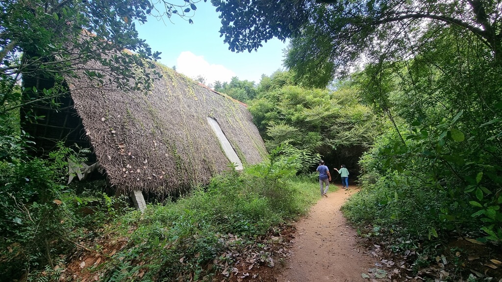 Exploring the Sadhana forest with a walking tour is one of the offbeat things to do in Auroville