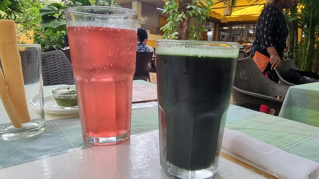 The hibiscus syrup with soda and spirulina drinks were some of the most refreshing drinks I had during my stay in Auroville