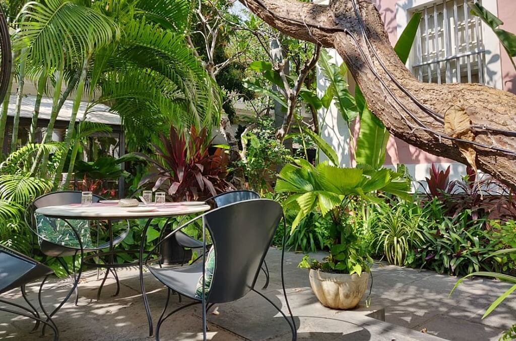 The outdoor garden patio seating at Coromandel Cafe in Pondicherry