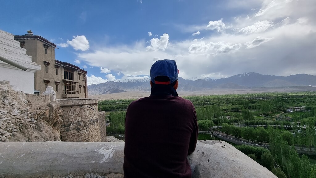 You can enjoy a terrific view of the Ladakh landscape from the Shey Palace and Monastery